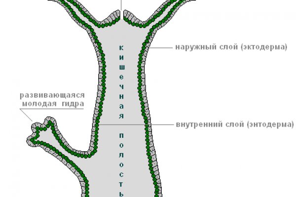 Как войти в кракен