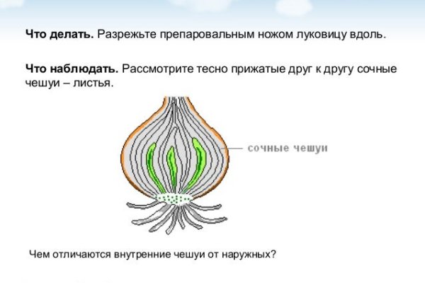 Кракен актуальное зеркало