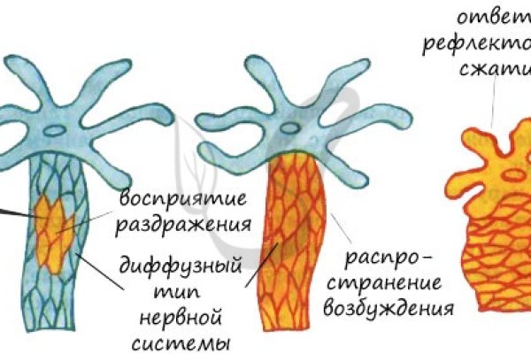 Ссылка кракен kr2web in