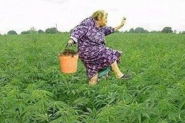 Ссылка на кракен на сегодня
