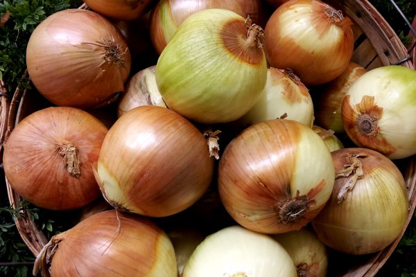 Даркнет маркет кракен onion