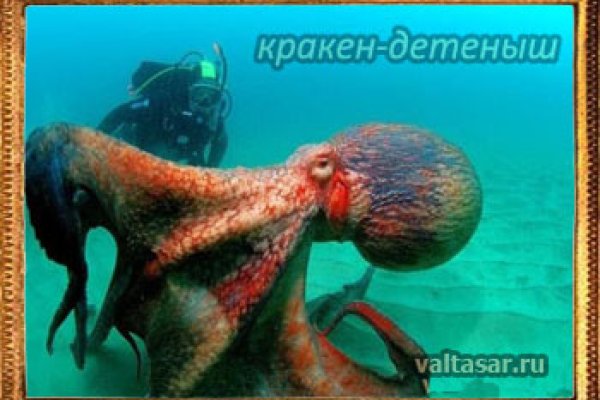 Как зайти на кракен через браузер