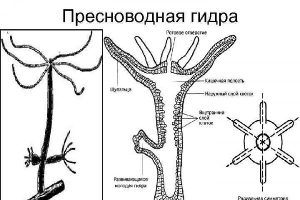 Кракен ссылка 2025
