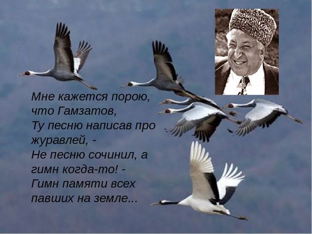 Кракен сайт krk market com