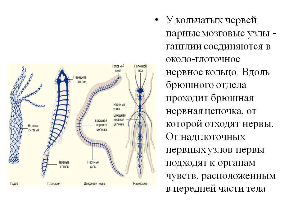 Кракен 22